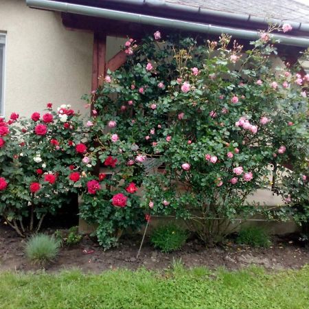 Balatonkeresztúr Uj Elet Weekend Houseヴィラ エクステリア 写真