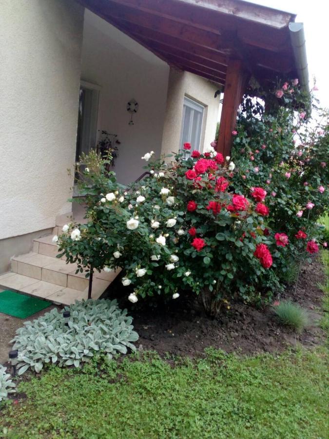 Balatonkeresztúr Uj Elet Weekend Houseヴィラ エクステリア 写真